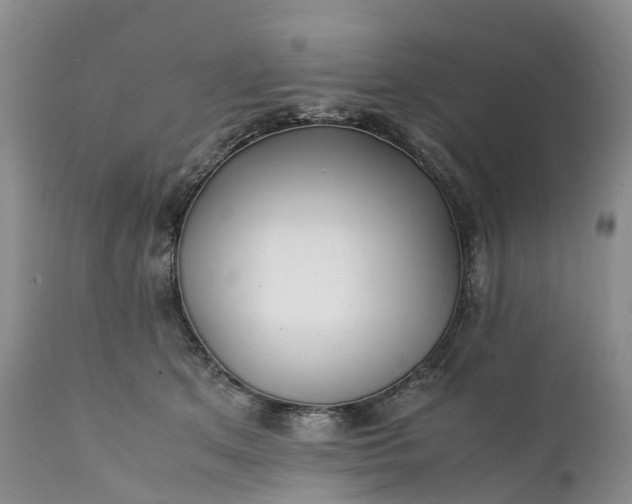 X0000111390513200907241336