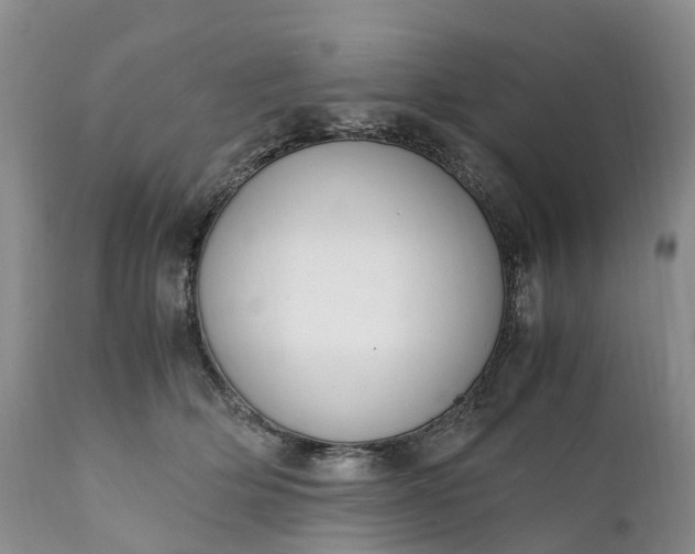 X0000111390514200907241336