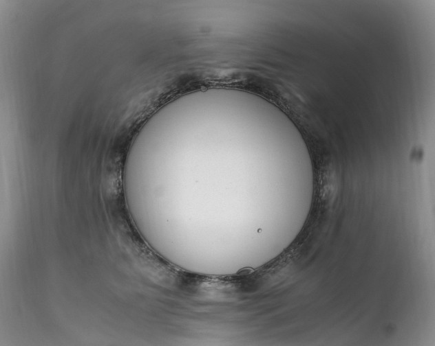 X0000111390515200907241336