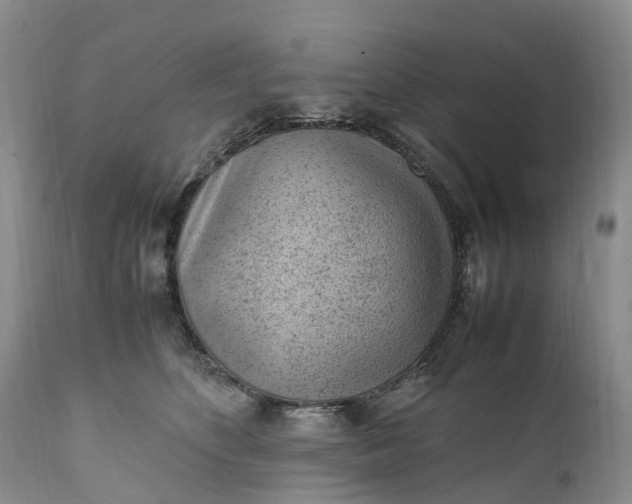 X0000111390516200907241336