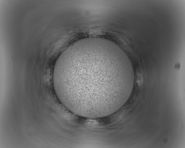 X0000111390519200907241336