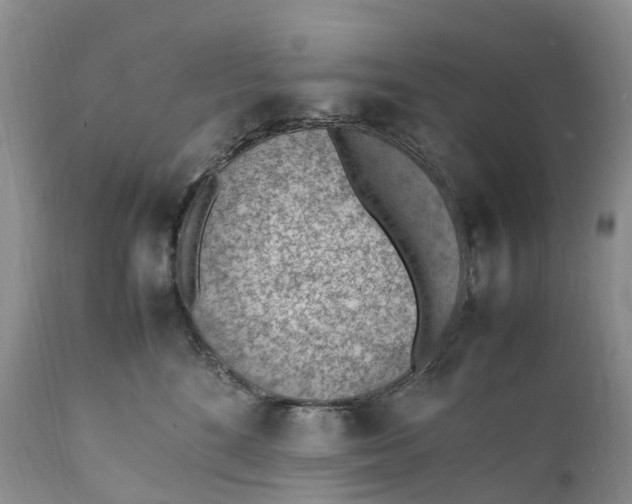 X0000111390520200907241336