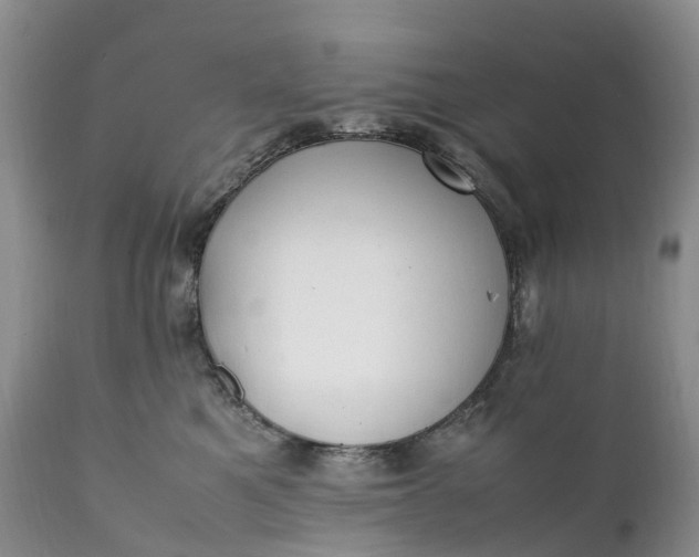 X0000111390521200907241336