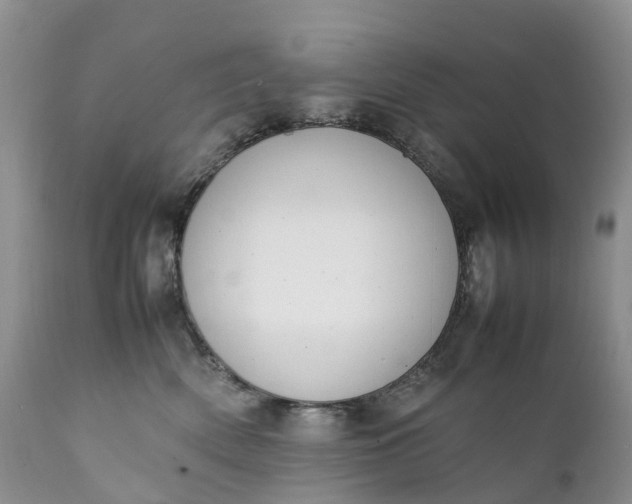 X0000111390522200907241336