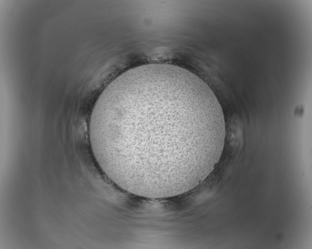 X0000111390523200907241336