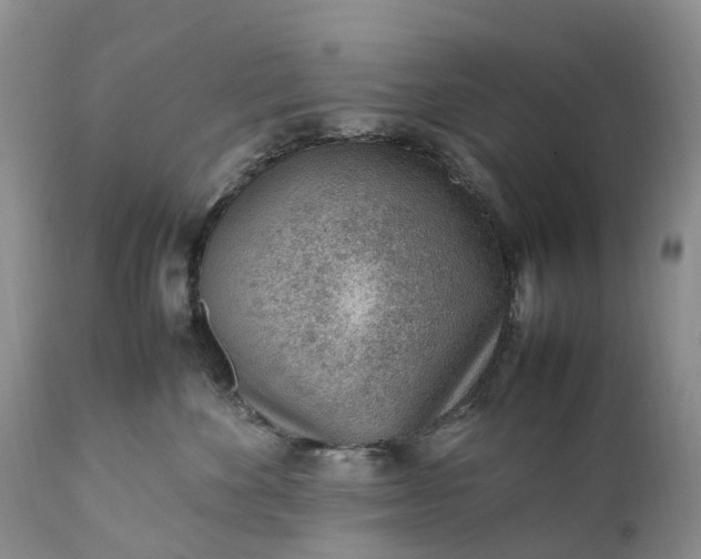 X0000111390524200907241336