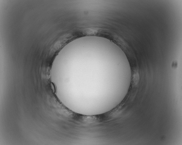 X0000111390525200907241336