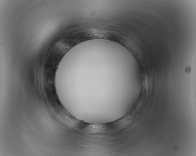 X0000111390526200907241336