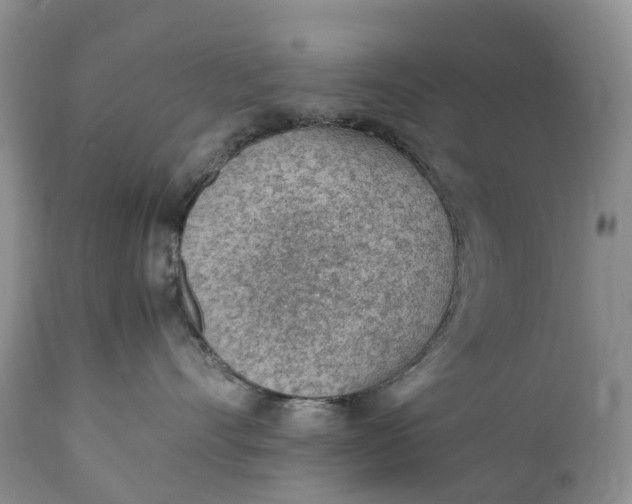 X0000111390528200907241336