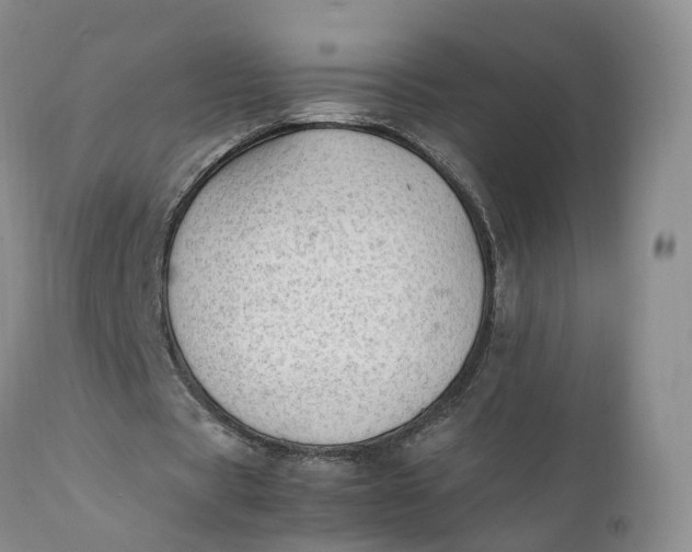 X0000111390529200907241336