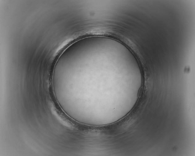 X0000111390530200907241336