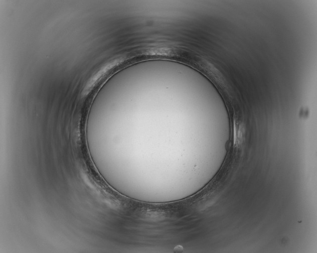 X0000111390531200907241336