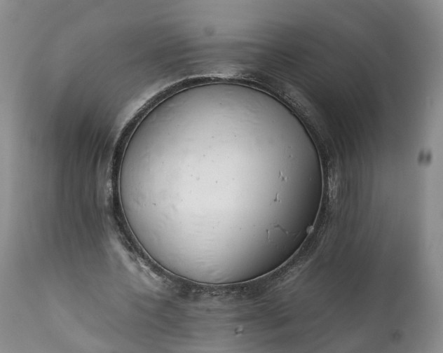 X0000111390532200907241336