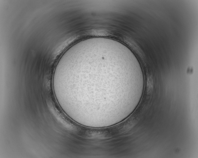 X0000111390533200907241336