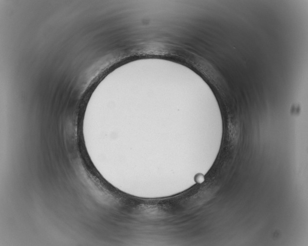 X0000111390534200907241336