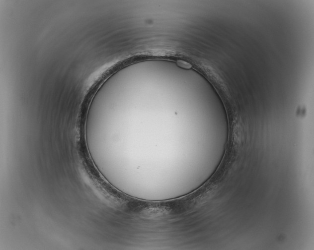 X0000111390536200907241336