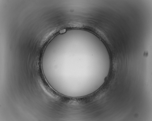 X0000111390538200907241336