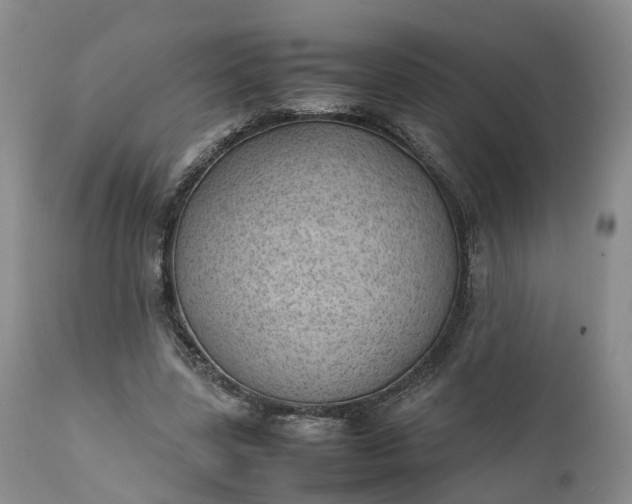 X0000111390539200907241336