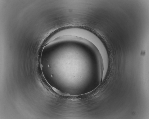 X0000111390540200907241336