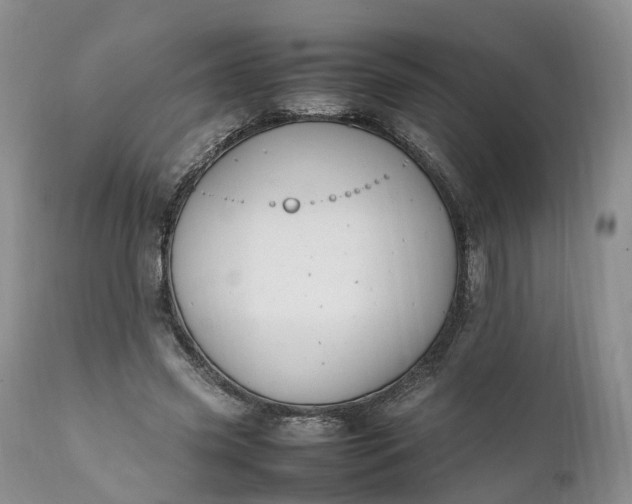 X0000111390541200907241336