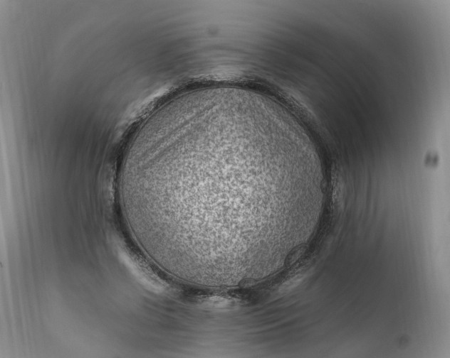 X0000111390542200907241336