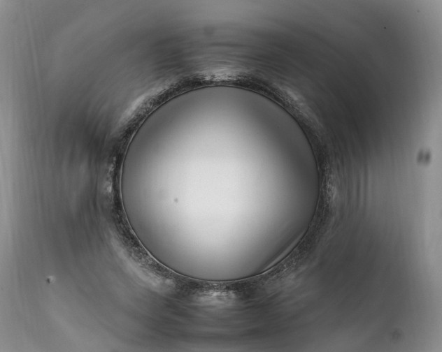 X0000111390543200907241336