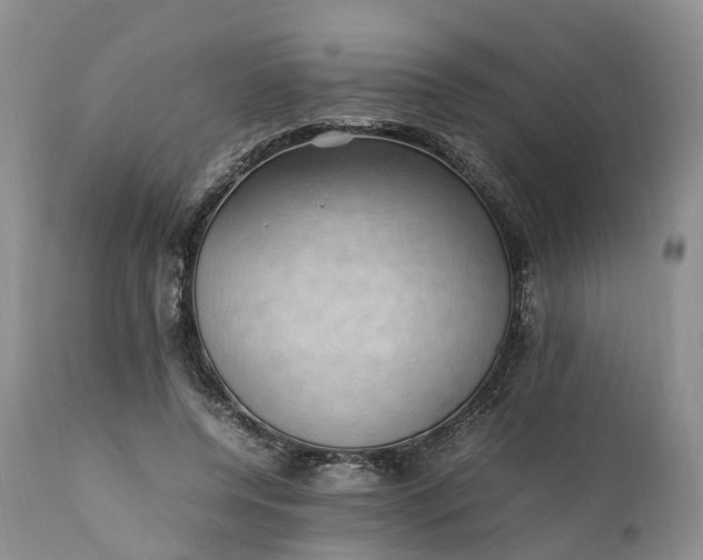 X0000111390544200907241336