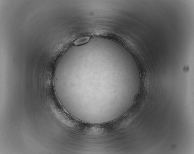 X0000111390546200907241336