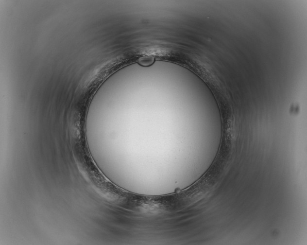 X0000111390547200907241336