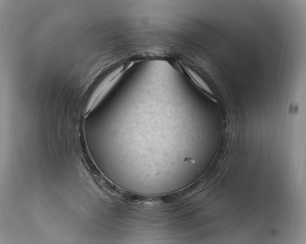 X0000111390548200907241336