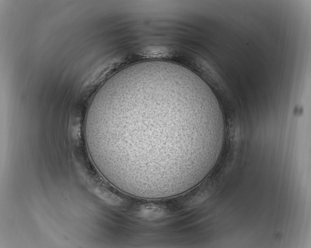 X0000111390549200907241336