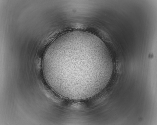 X0000111390550200907241336