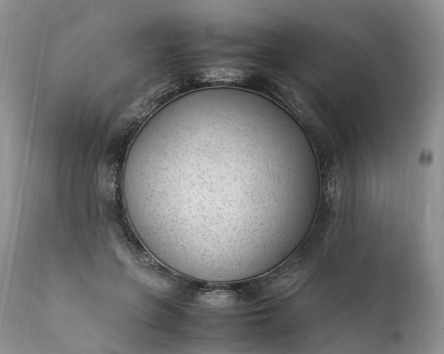 X0000111390551200907241336