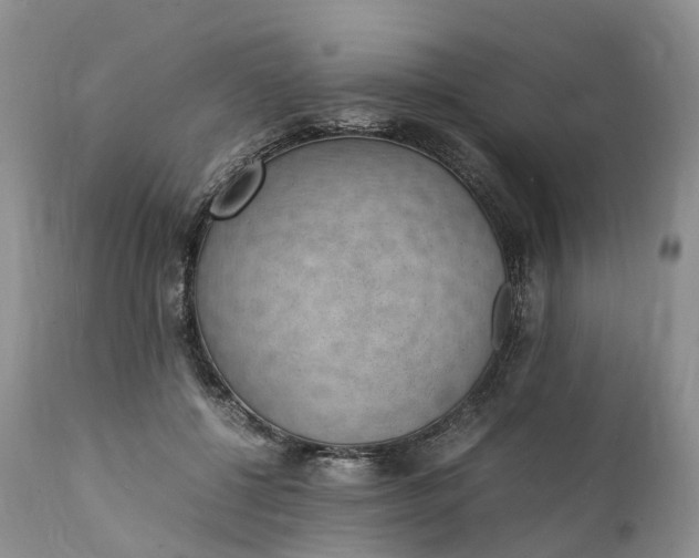 X0000111390552200907241336