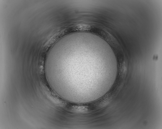 X0000111390553200907241336