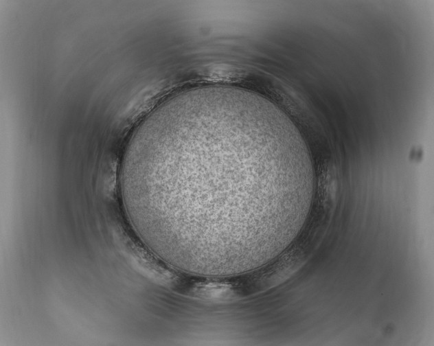 X0000111390554200907241336