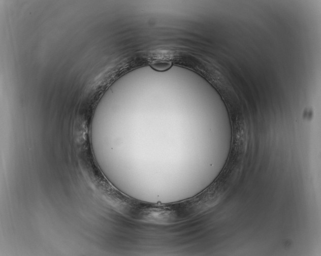 X0000111390555200907241336