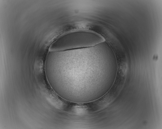 X0000111390556200907241336