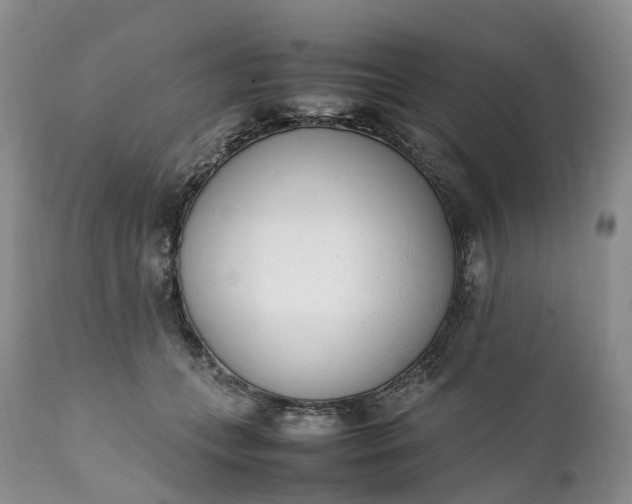 X0000111390559200907241336