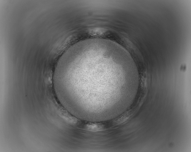 X0000111390561200907241336