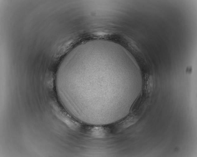 X0000111390562200907241336