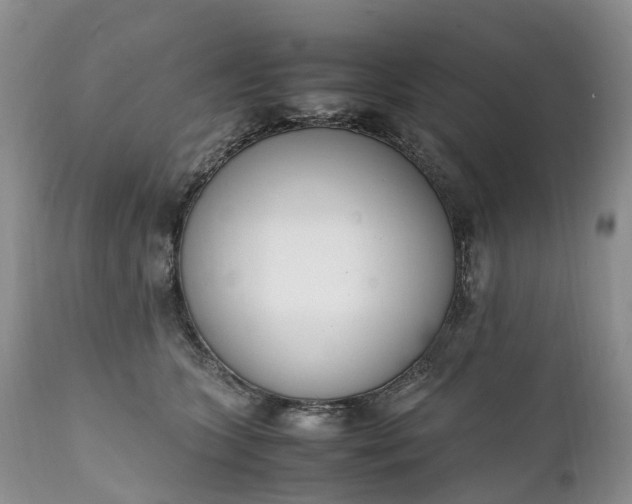 X0000111390563200907241336