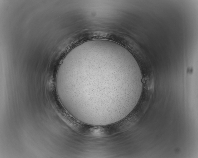 X0000111390564200907241336