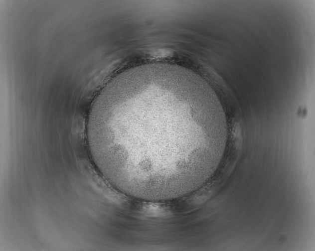 X0000111390565200907241336