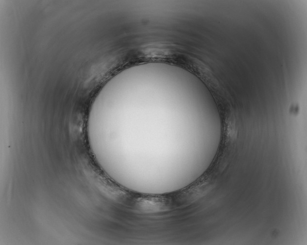 X0000111390567200907241336