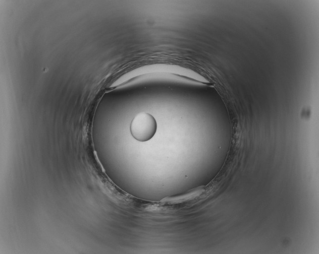 X0000111390568200907241336