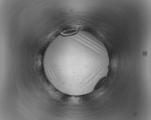 X0000111390570200907241336