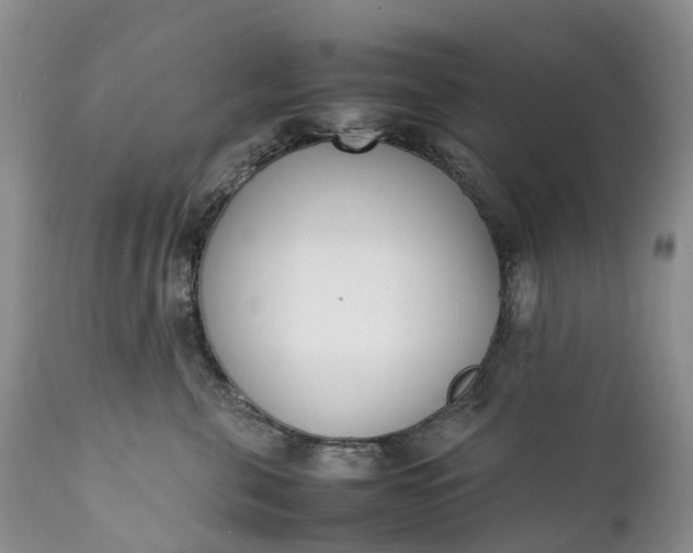 X0000111390571200907241336