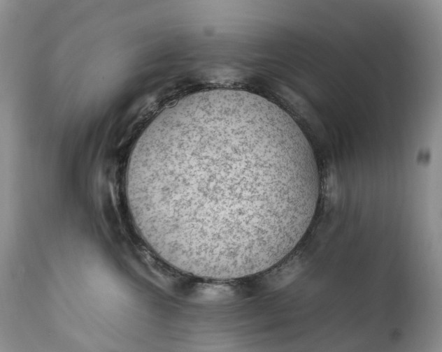 X0000111390572200907241336