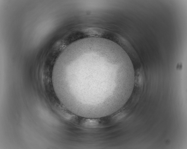 X0000111390573200907241336